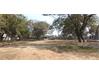 Kothur Warehouse for Rent